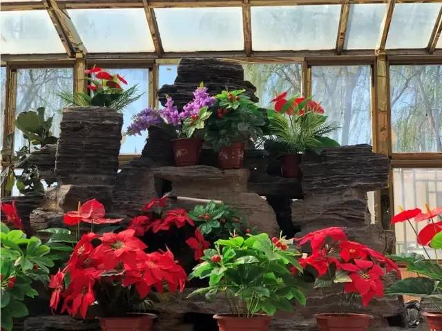 北京独门独院小四合院出售,北京四合院单身公寓