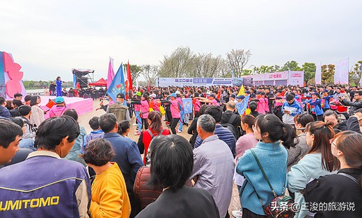温州龙湾樱花,温州看樱花的地方