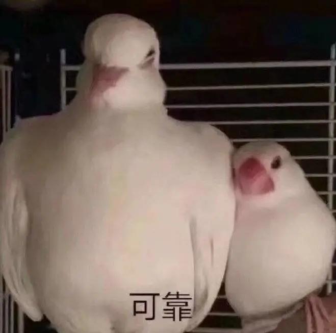 机动性强的大荒“补血兵”，冰心转双攻流重击战场套奶篁