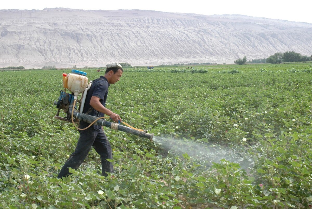 锈病防治的最佳方法,锈病防治药剂是什么