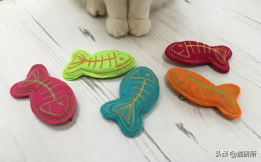 哪些猫咪玩具对小猫有害 (对猫咪有益的玩具)