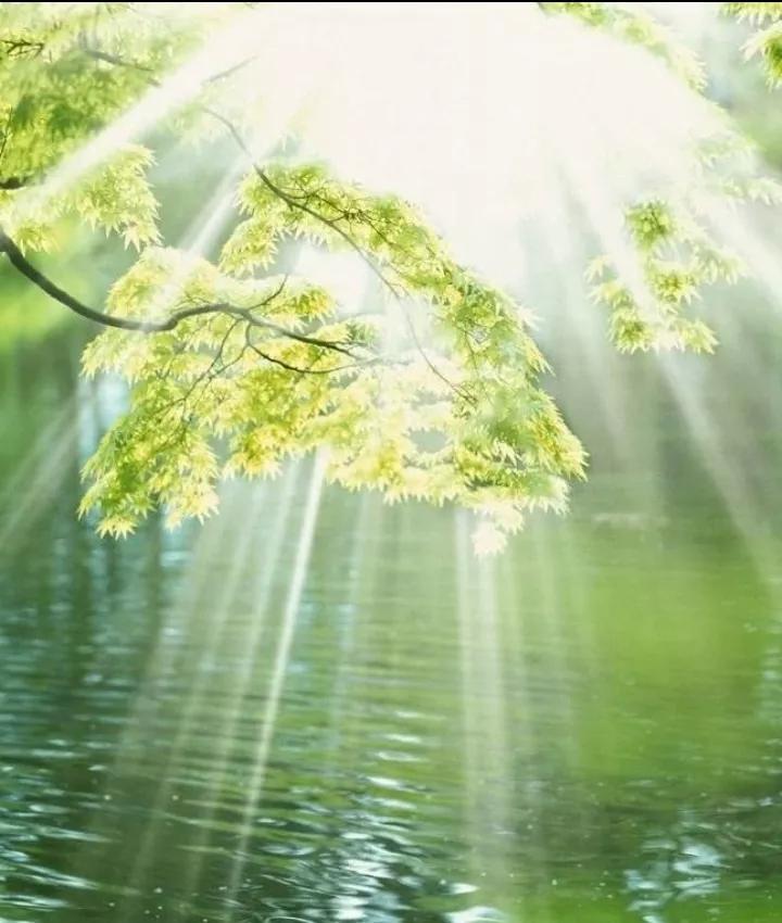 修心控制情绪的文案,如何修心控制情绪不急躁发火