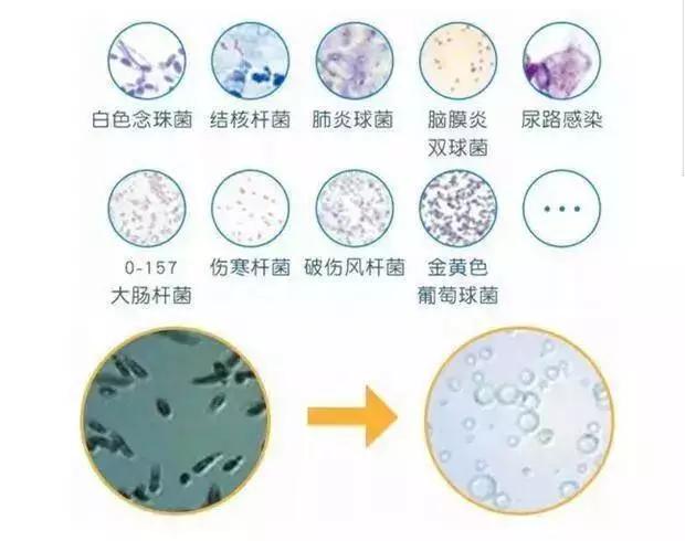 洗衣神器泡一泡就干净,颠覆洗衣液