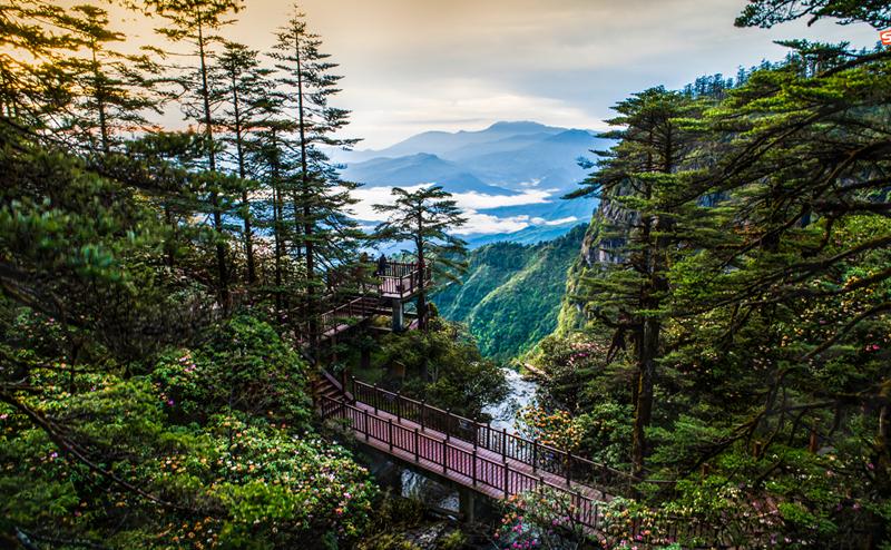 四川旅游五天必去景点,游玩好去处四川