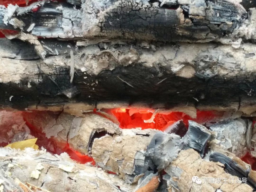 野外生存中木炭的作用和功效,木炭的用途及其对应的性质