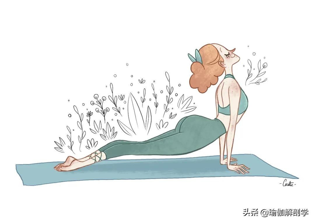 练瑜伽的注意事项十大禁忌,初学瑜伽的5大禁忌