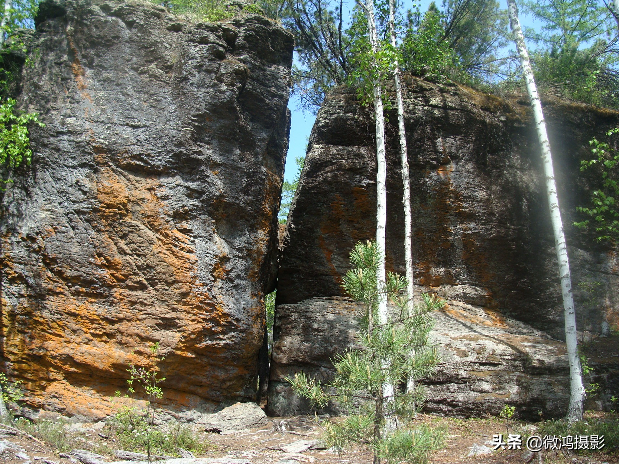 古岩石林图片大全,石林岩画