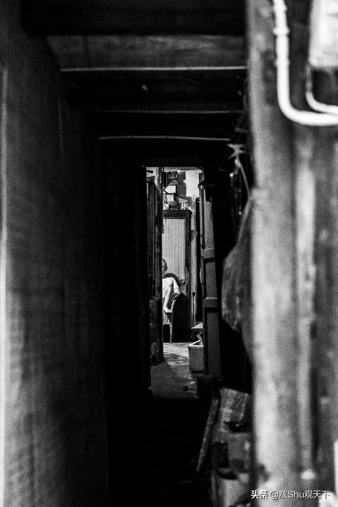 斑马斑马女声版,斑马斑马原唱完整版