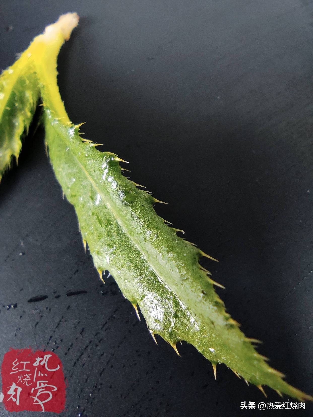 包菜团子怎样才能皮薄馅大,包菜怎么样才包得好