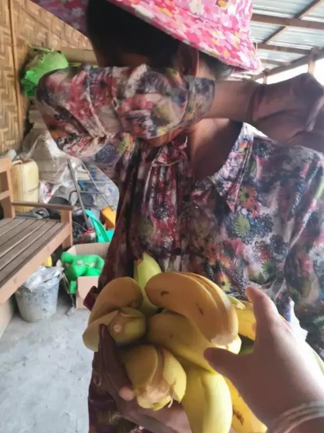 缅北香蕉最新消息,缅北香蕉农