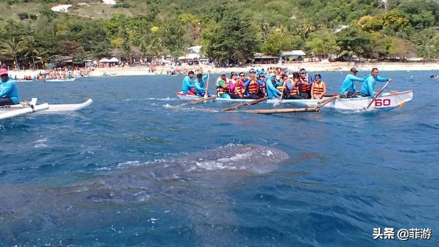 菲律宾小马尔代夫度假村,菲律宾小马尔代夫一日游