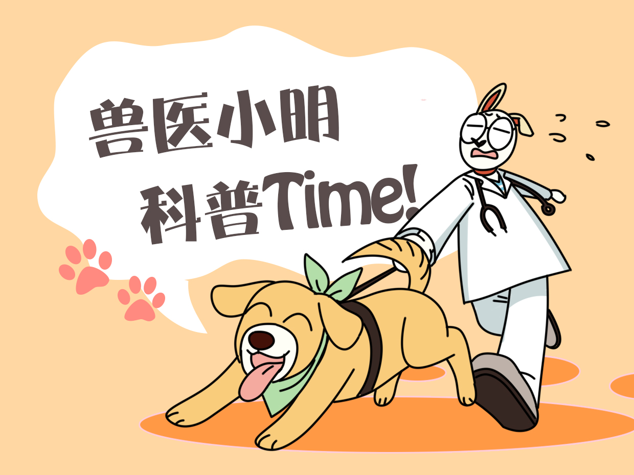 养了10年的乌龟竟然下蛋了,养了十年的乌龟突然下蛋了