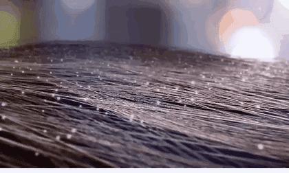 澳洲茶树精油洗发水去头屑,头发一摸全是油