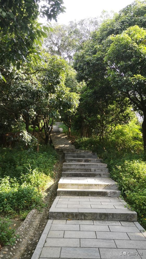 深圳大羊台风景,深圳阳台山看日落