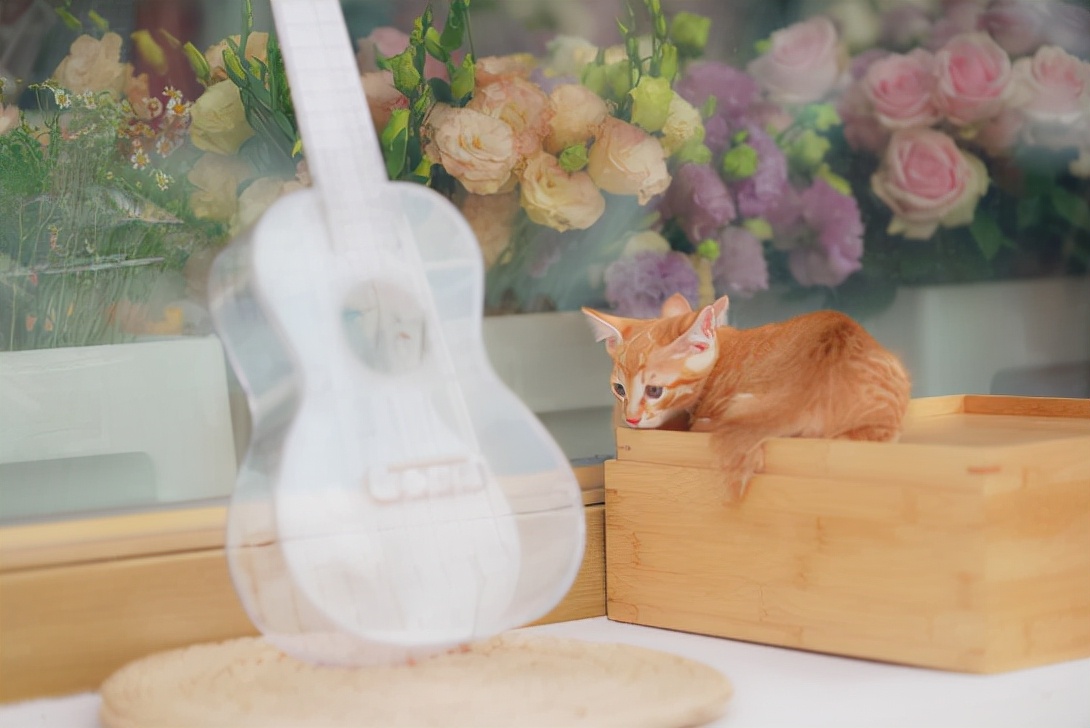 深圳网红花店推荐,人气最旺的网红花店