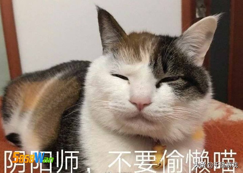 阴阳师最让人讨厌的式神,阴阳师最反感的阵容