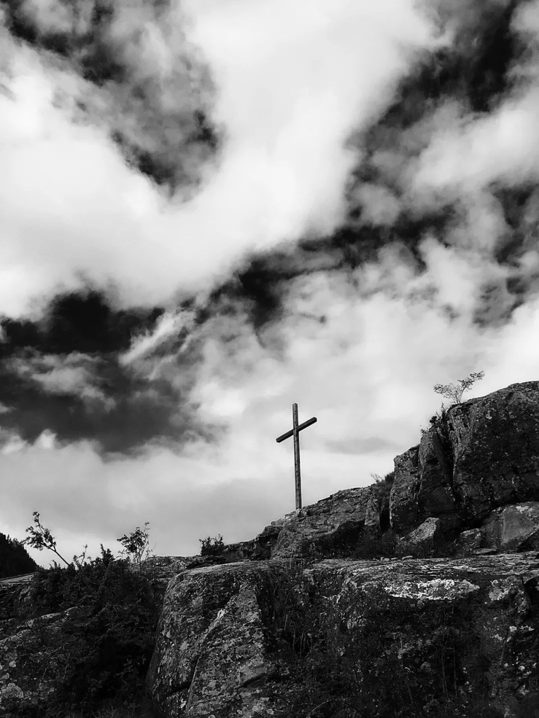 陈萨代表作,陈萨艺术照