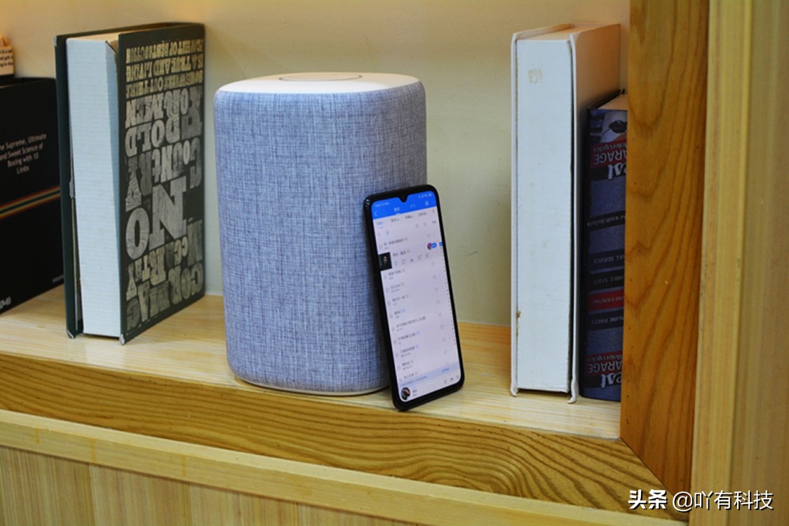 小米小爱音箱499,小米小爱音箱229音质