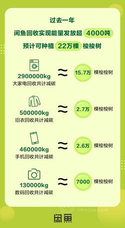 闲鱼：回收业务一年减碳超4000吨，可种植22万棵梭梭树