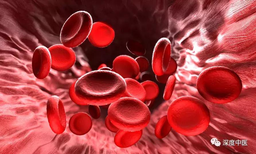 血细胞分析五分类和血常规的区别,医学基础知识血液生化