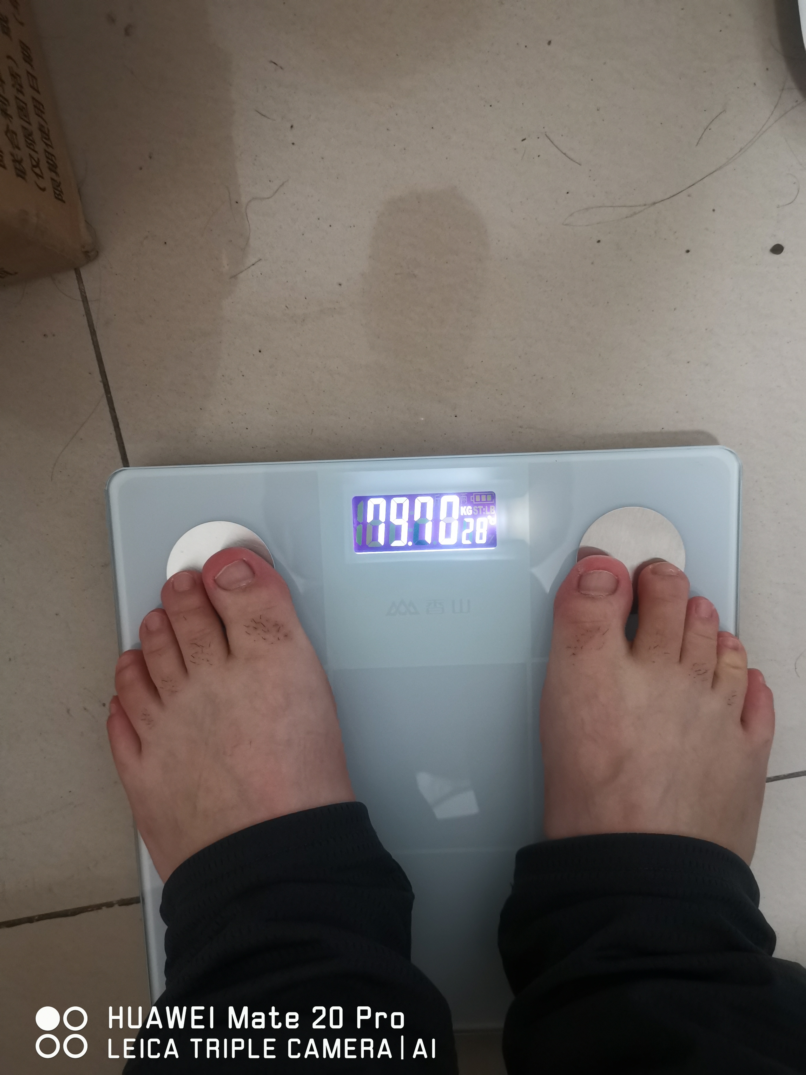 体脂秤19.9,华为hilink体脂秤可以和荣耀app相连