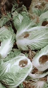 孩子醒醒吧图片,小孩醒醒别睡了搞笑版