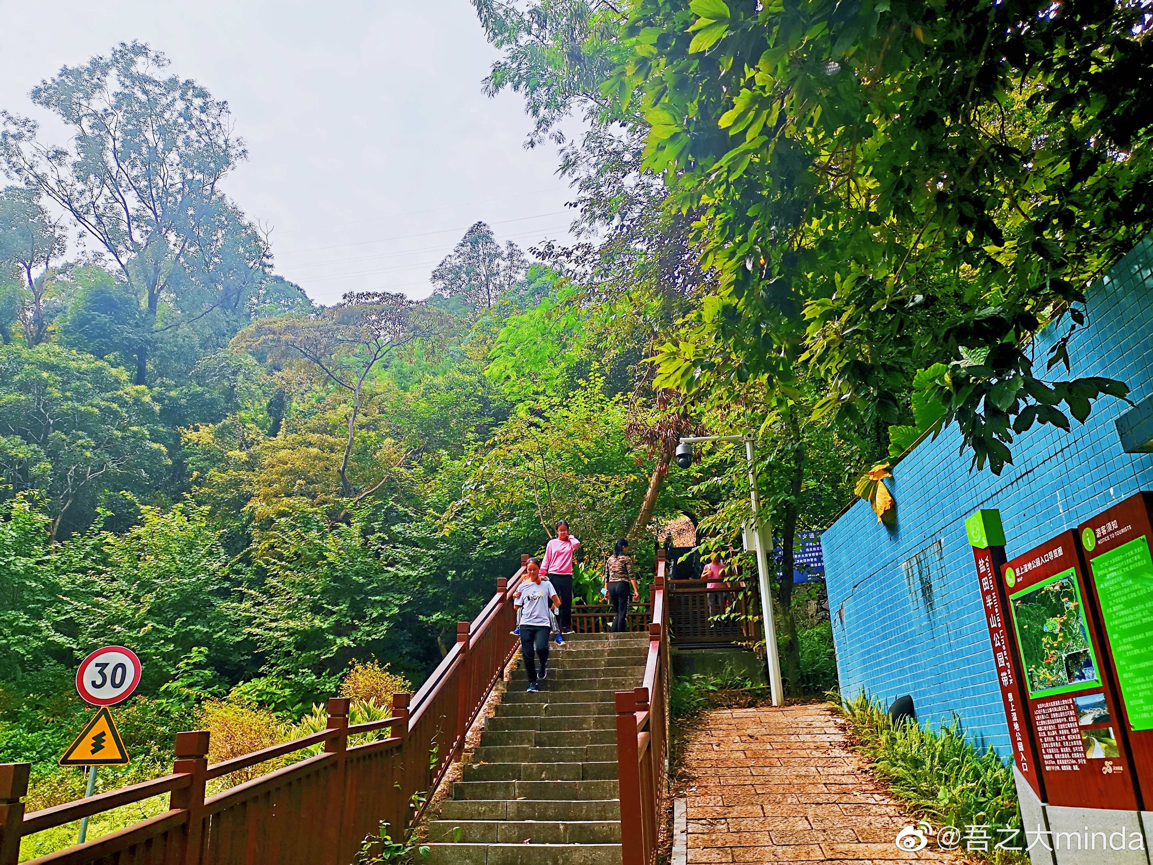 梧桐山下幽径,梧桐山下清风明月