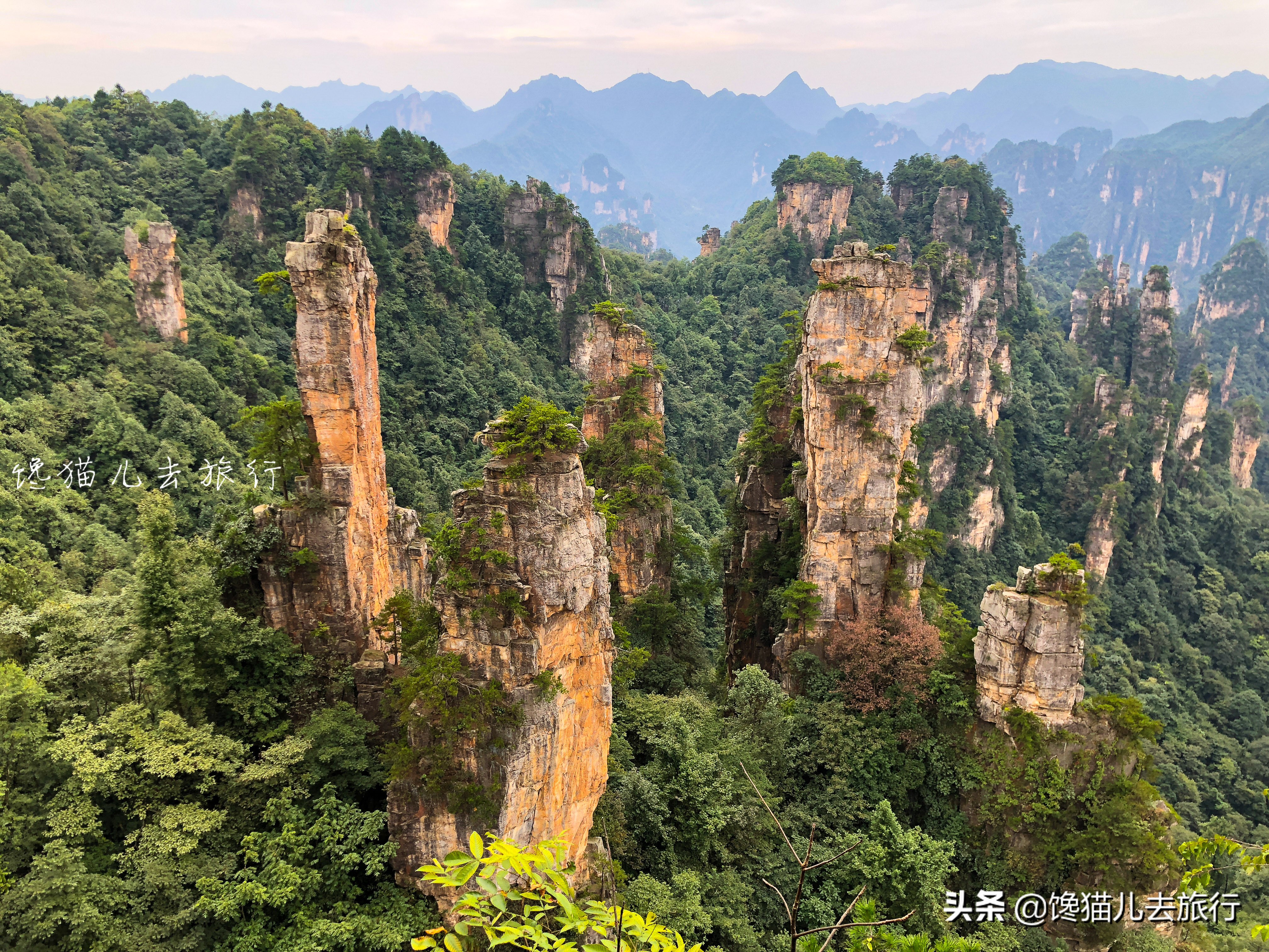 湖南张家界五日游计划安排,湖南张家界旅游方案