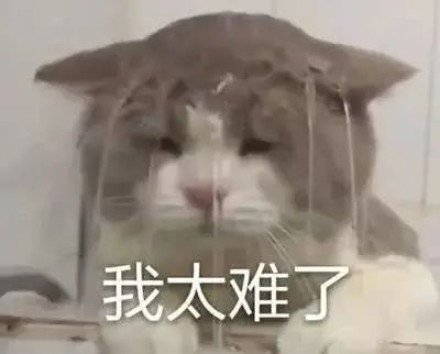 因为黄图和喷子太多，这App背后的鉴黄师，精神崩溃了