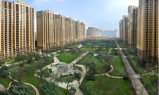 城市向上,城市向上重庆