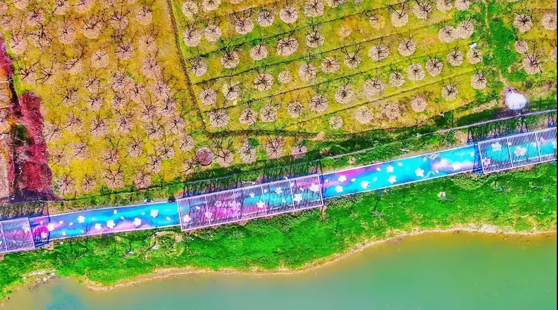 撩人无锡话,无锡锡城花路