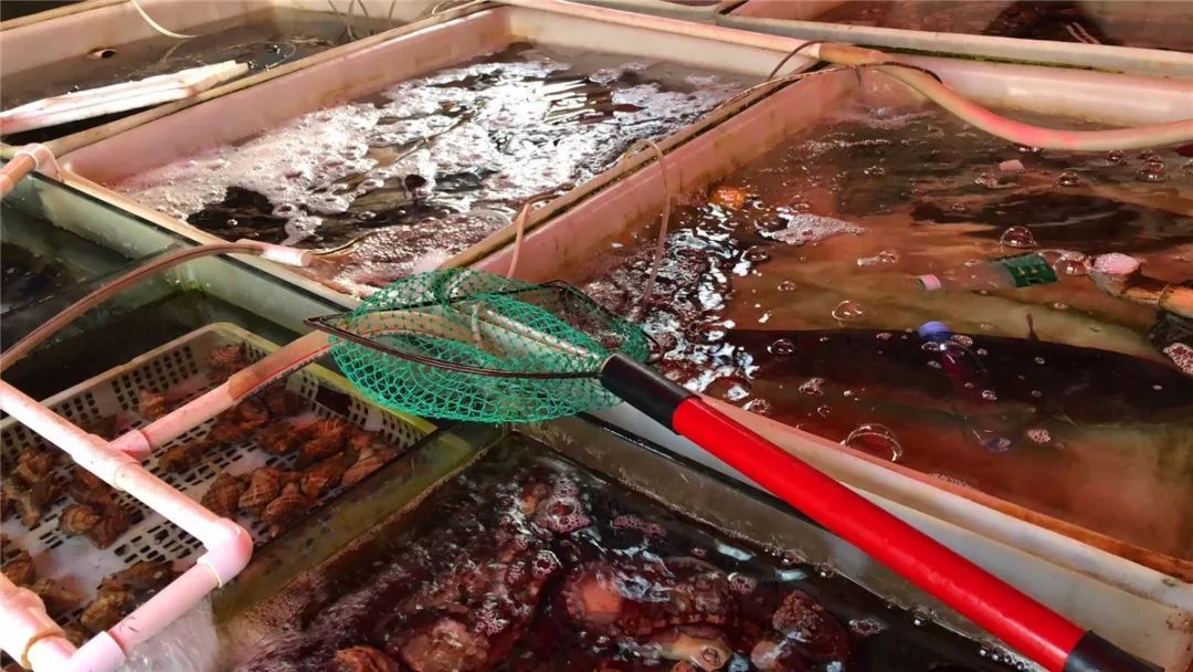 厦门10元店小商品最全批发市场,厦门最大的小商品批发市场在哪里