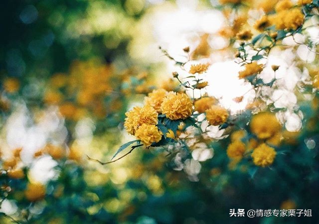 情感咨询|栗子姐每日情感问答（0304）