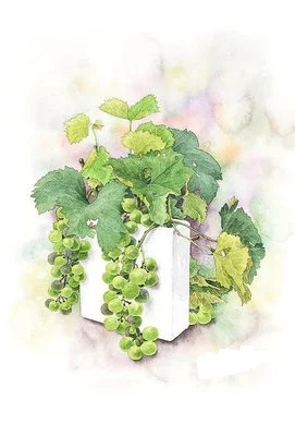 离婚半年了前妻再婚过得很幸福,这是我第33次离婚完整版