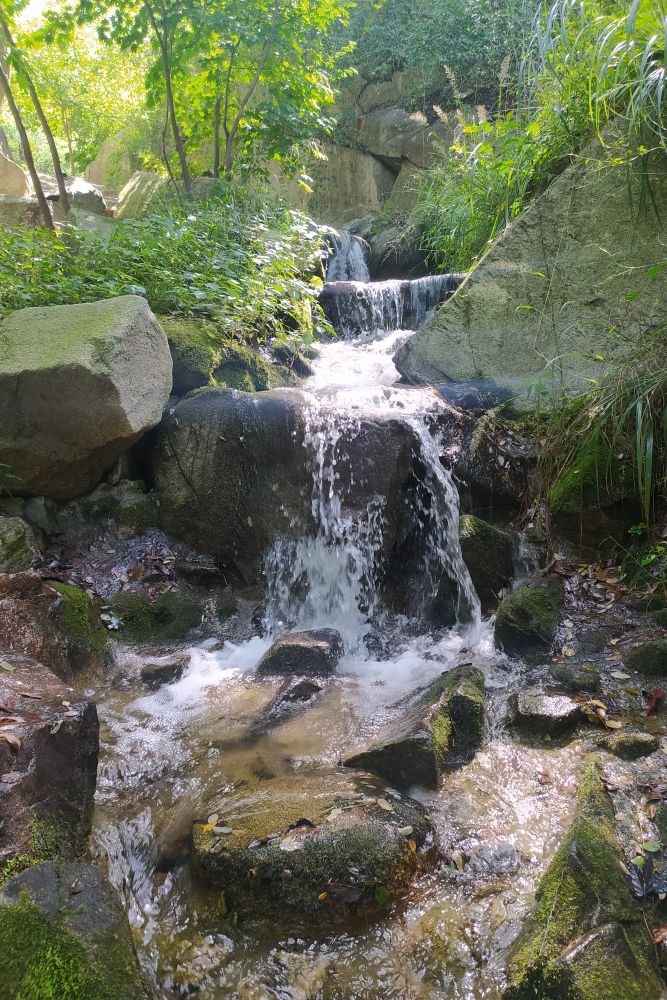 九如山风景区门票价格,九如山风景区在哪里