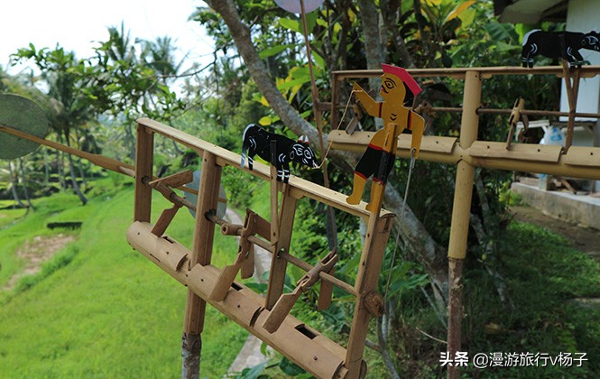 巴厘岛什锦饭和猫屎咖啡,巴厘岛的猫屎咖啡豆的价位