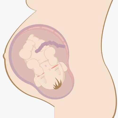 “冷酷”的“杀手”——李斯特菌