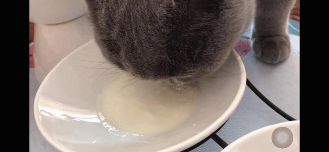 私藏十大必买东西,私藏值得买的东西