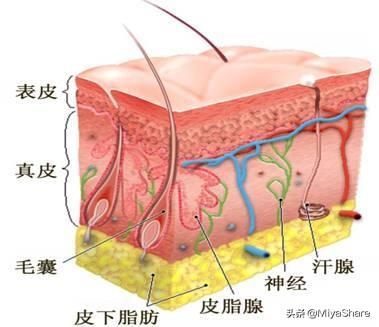 深层清洁面膜和去角质,深层清洁面膜去闭口