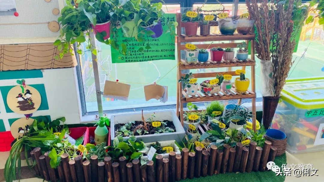 环境创设一年级,幼儿园梦想小学环境创设