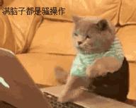 德商御府天骄叠拼装修,德商御府天骄92平方