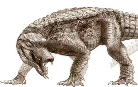 十大上古龙族,十大龙族是什么样