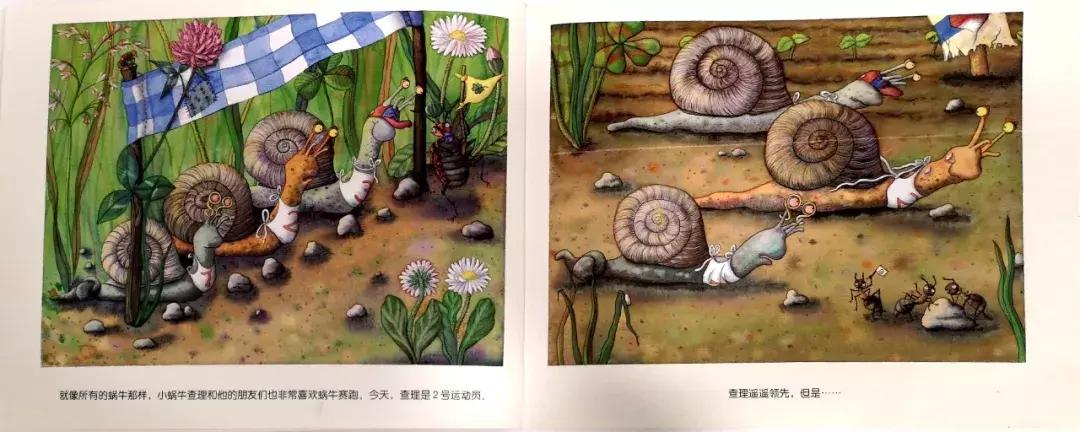 蜗牛躲在小房子里不出来怎么办,没有蜗牛壳的蜗牛是怎么回事