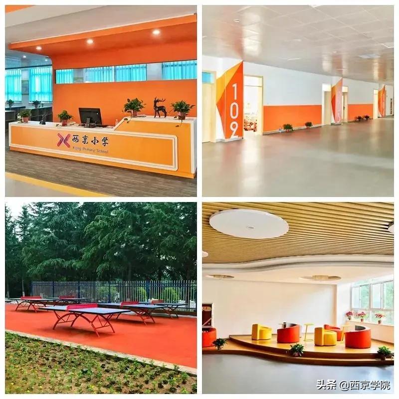 长安区西京小学教学质量怎么样,西京小学办学特色