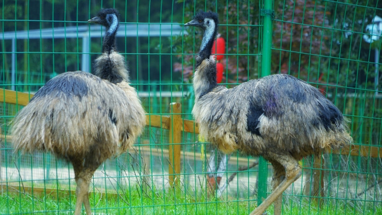 茅山宝盛园周边游玩,茅山宝盛园所有游乐设施