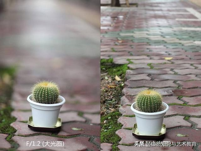 拍摄人像使用大景深的作用,运用景深拍摄背景虚化