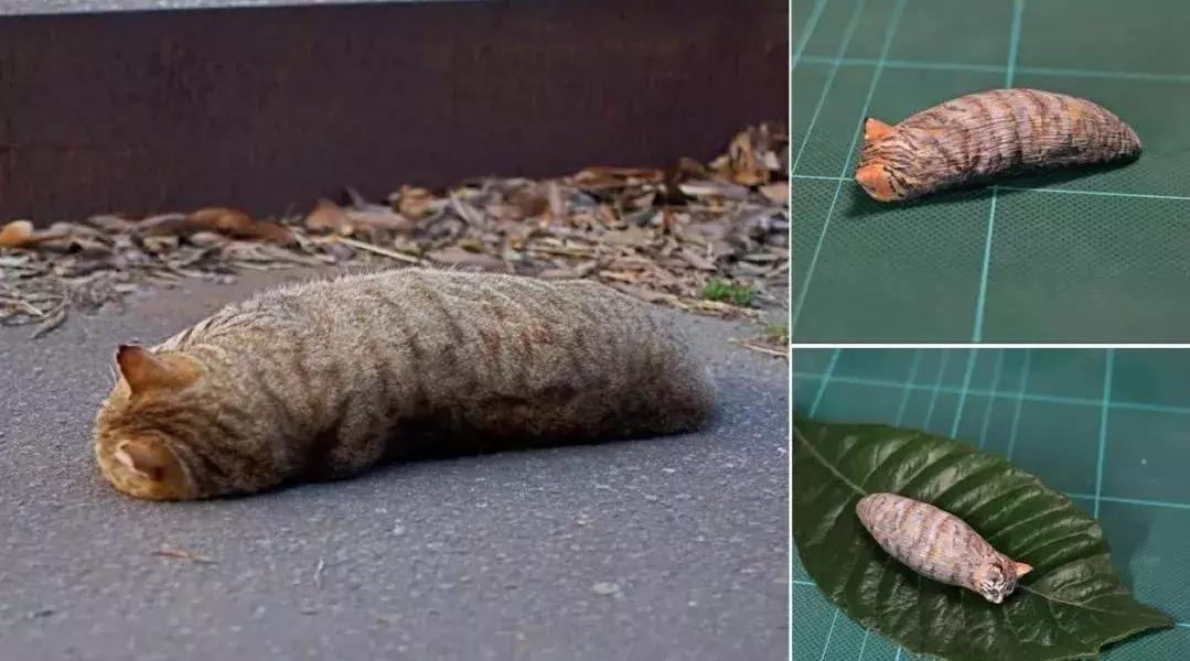 猫和老鼠汤姆沙雕手办,蜘蛛侠沙雕手办搞笑视频