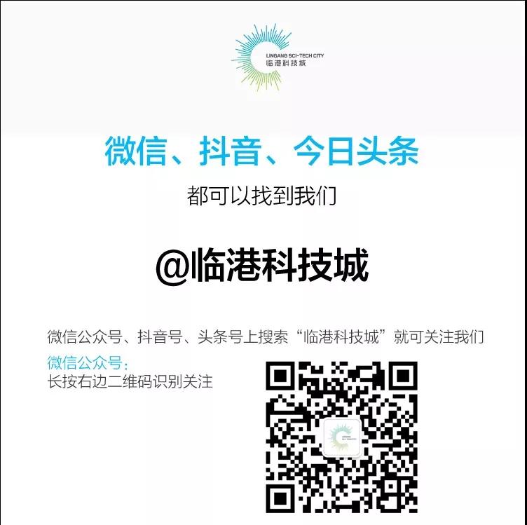 显德科技：在临港，预见未来（上）