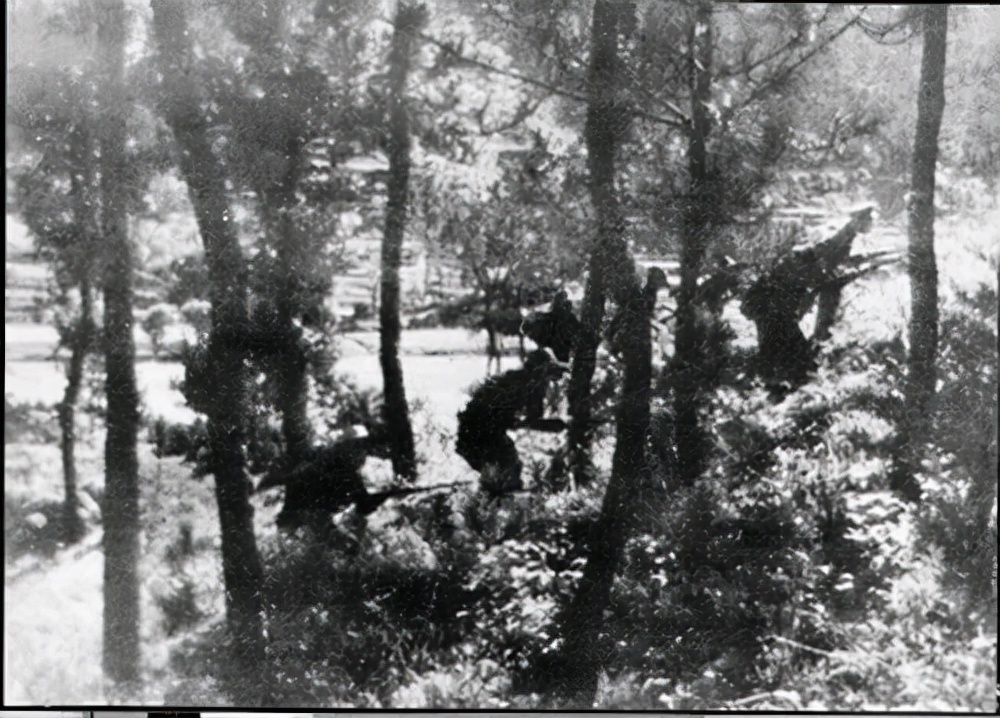 东北土匪有多狠,东北土匪袭击日本人