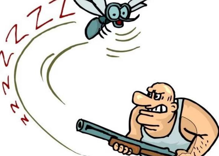 什么样的蚊子才吸血?这些知识你知道吗?